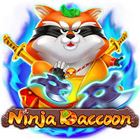 Ninja raccoon