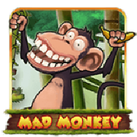 MadMonkey